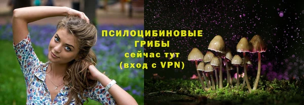 ALPHA PVP Горно-Алтайск