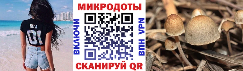 Галлюциногенные грибы Cubensis  Купить  Печоры 